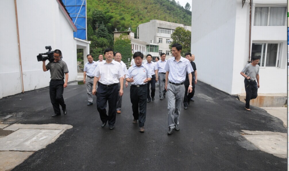 副省長(zhǎng)方春明調(diào)研中國(guó)宣紙股份有限公司