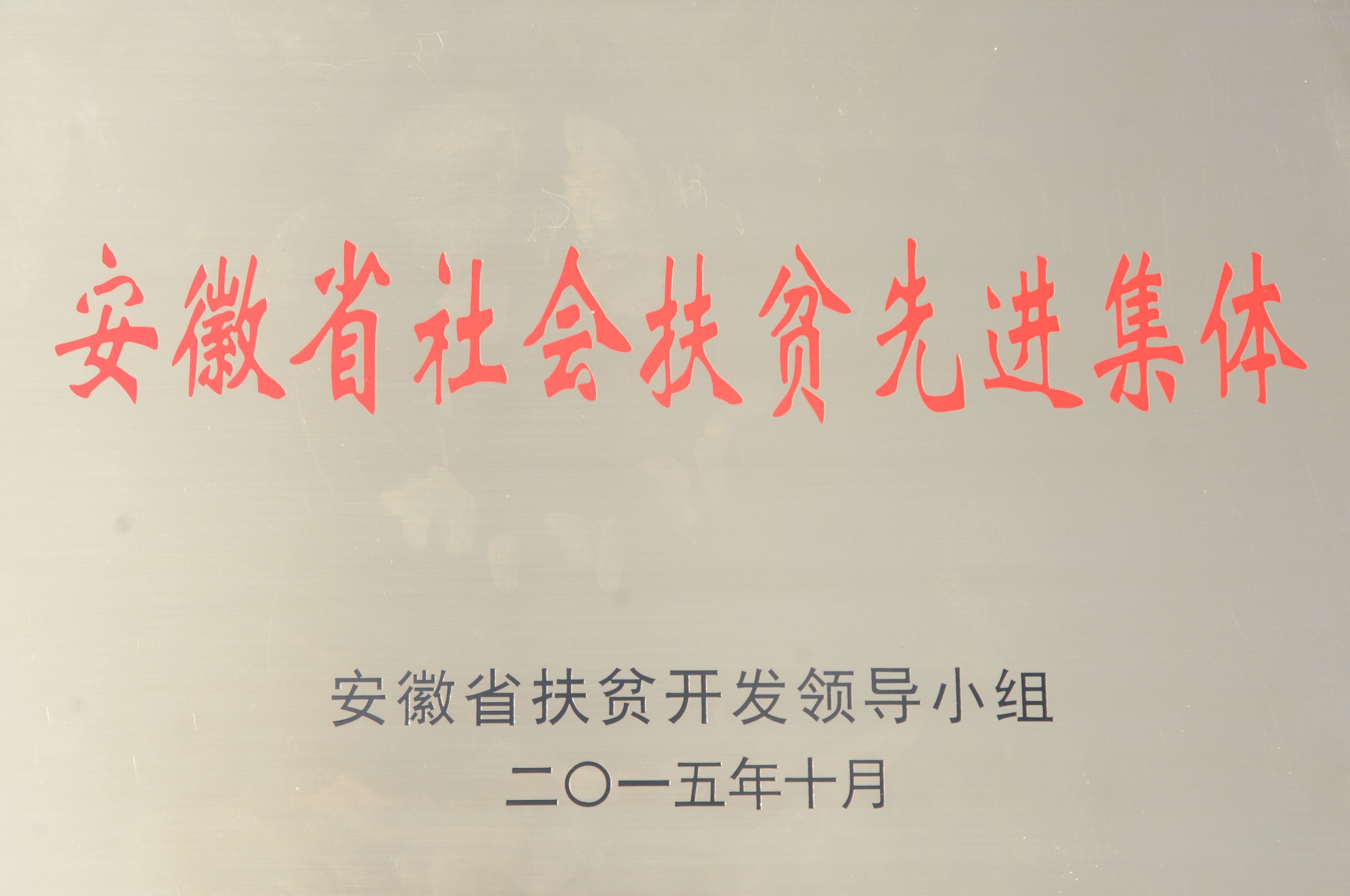 我公司榮獲安徽省社會扶貧先進集體稱號