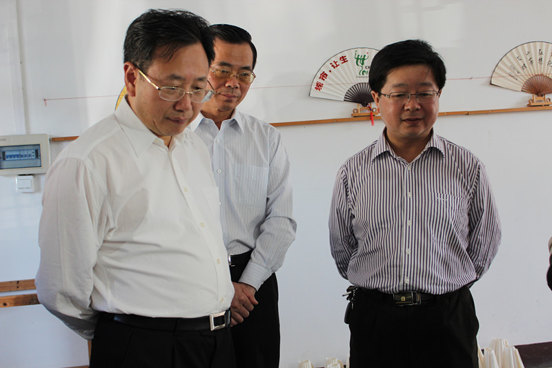 省委常委、副省長陳樹隆來宣紙文化園參觀指導(dǎo)
